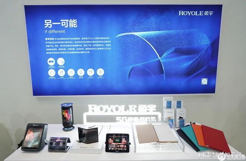 中国柔性屏巨头倒塌 拒绝外界拯救背后的深层原因